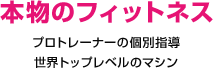 本物のフィットネスプロトレーナーの個別指導世界トップレベルのマシン